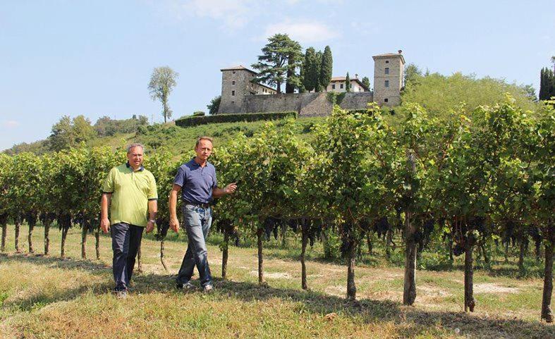 Villa Chiopris Esterno foto