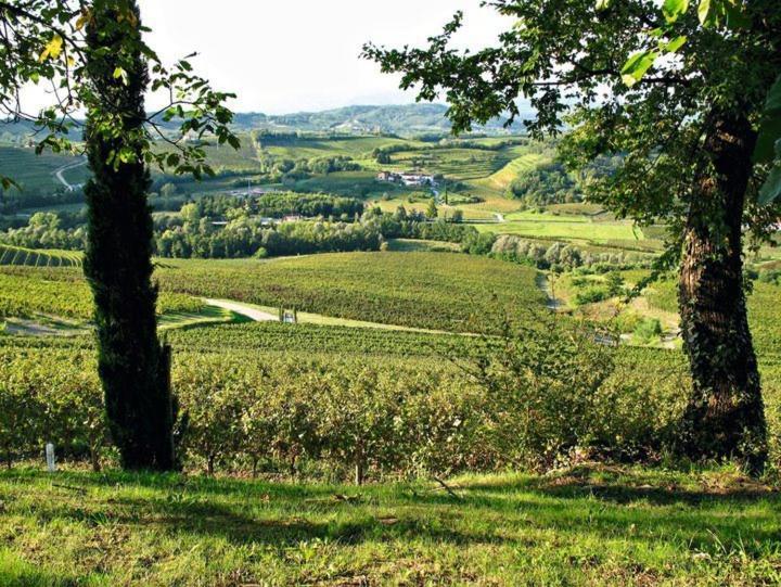 Villa Chiopris Esterno foto